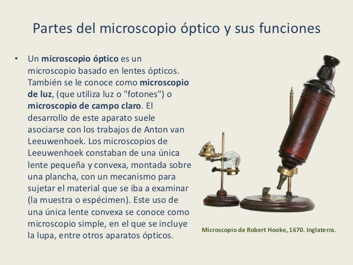 Partes del Microscopio - Informaci n y Caracter sticas