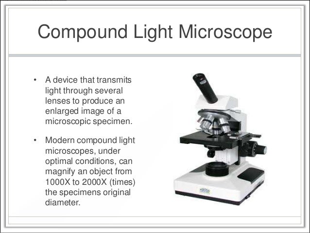 investigating the compound microscope essay Compare and contrast the structure and function of a compound light microscope and a dissecting microscope be sure to discuss when each would be more useful than the other. investigating the compound microscope essay Compare and contrast the structure and function of a compound light microscope and a dissecting microscope be sure to discuss when each would be more useful than the other.