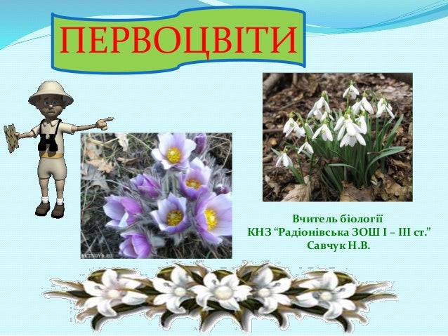ПЕРВОЦВІТИ
Вчитель біології
КНЗ “Радіонівська ЗОШ І – ІІІ ст.”
Савчук Н.В.
 