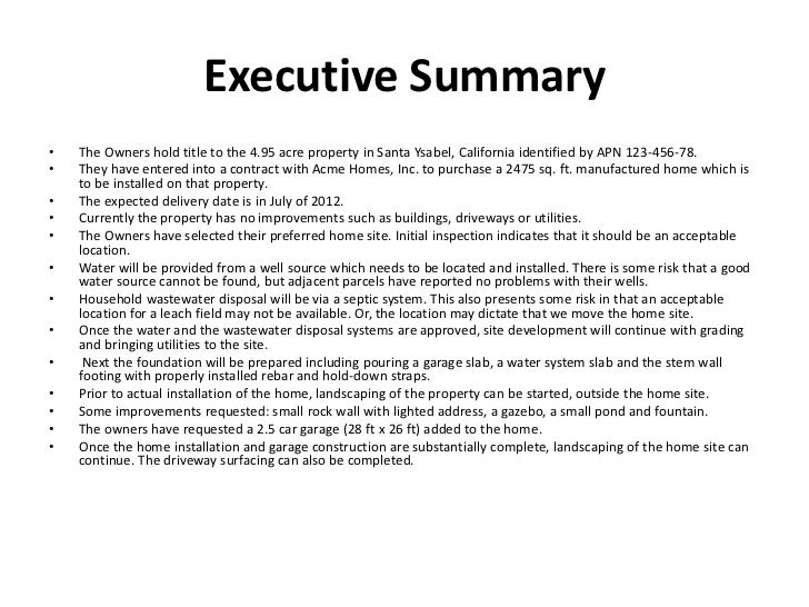 executive summary format for project report koni polycode co