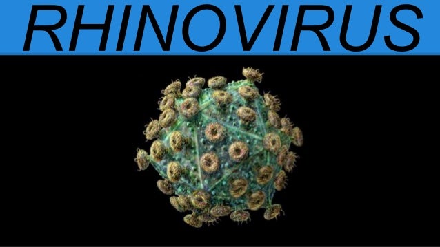 Resultado de imagen de rinovirus IMAGENES