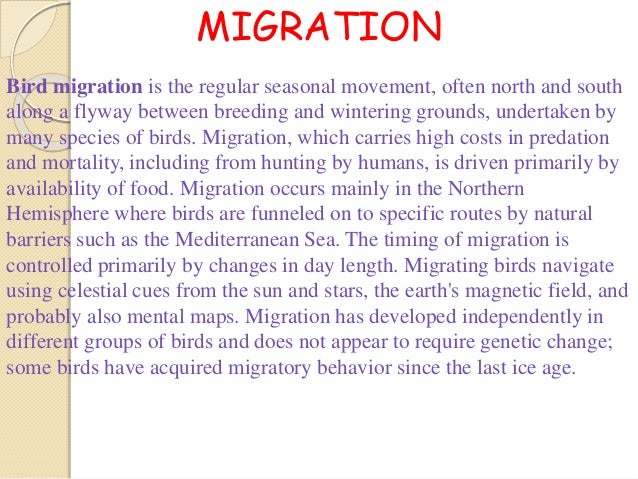 season migration to the north essay season migration to the north essay