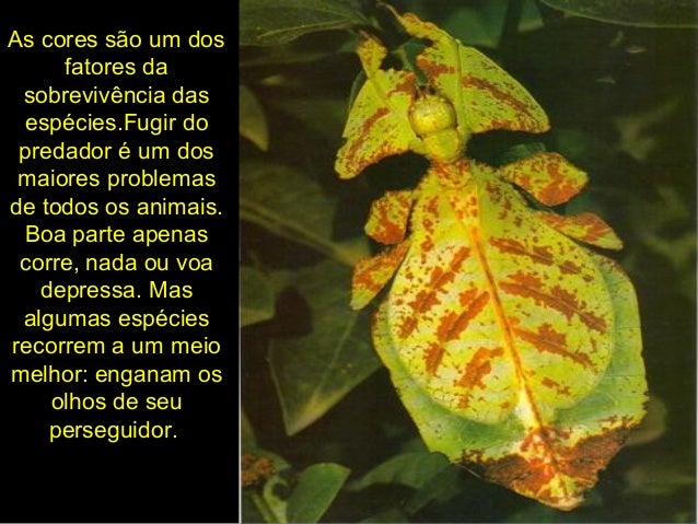 Os lugares de pigmentary começaram a crescer