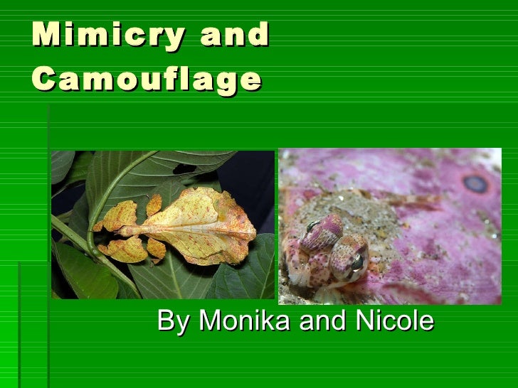 Homework help mimicry camouflage