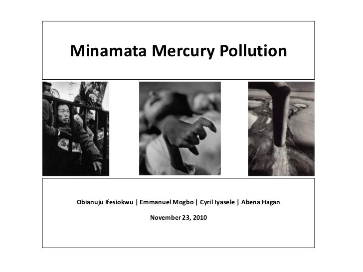 minamata disaster case study minamata disaster case study