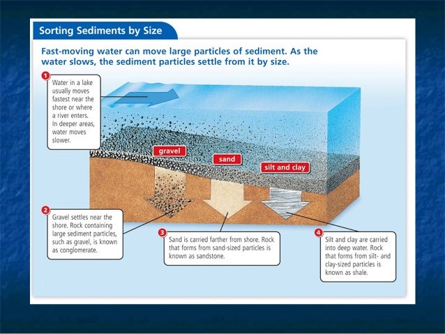 essays on sedimentary rocks homework writing service sedimentary rocks form
