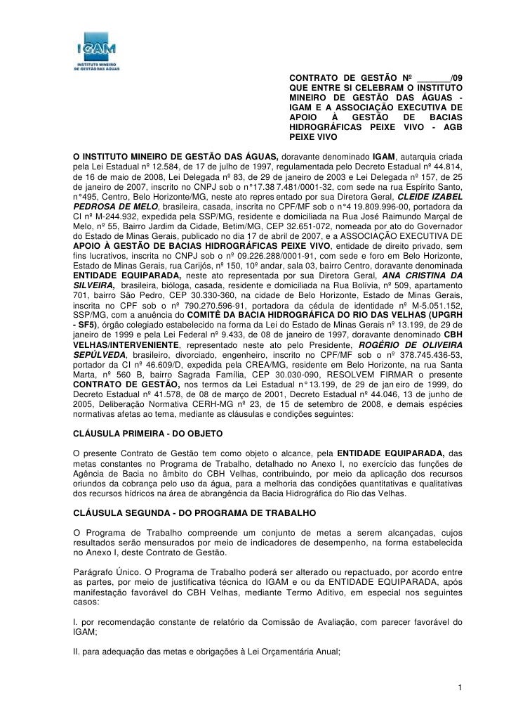 Minuta de relatorio
