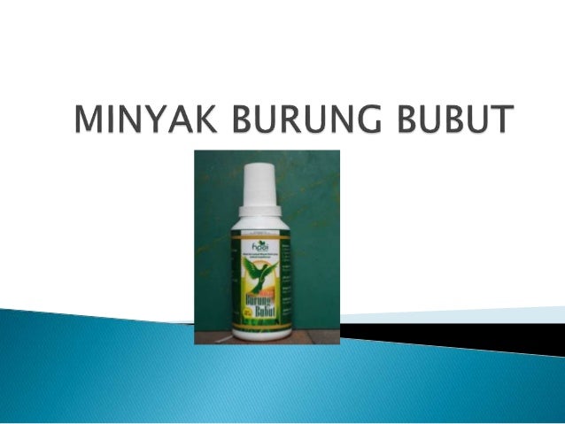 minyak burung bubut hpai gosok minum balur pijat patah kaki minyak burung bubut hpai gosok minum balur pijat patah kaki