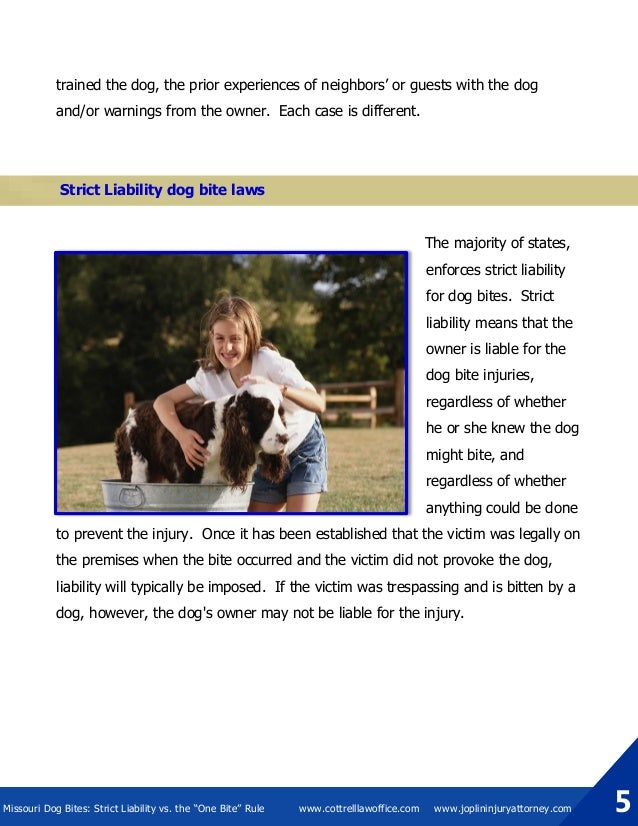 how to get a puppy from biting how to get a puppy from biting how to get a puppy from biting how to get a puppy from biting
