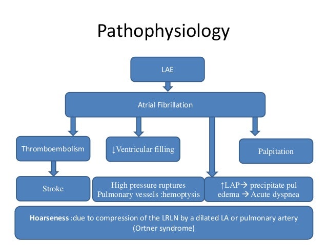 Stem cell treatment for stroke sufferers stroke protocol rapid