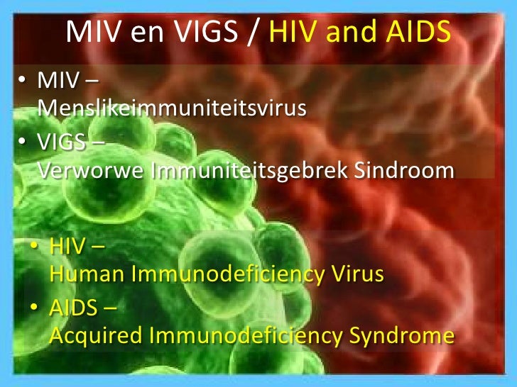 Miv vigs