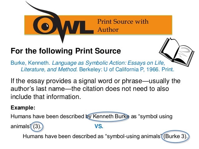 Essay Work Cited