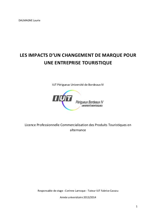 Mémoire licence pro pdf