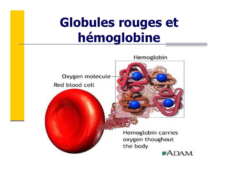 Hamoglobin