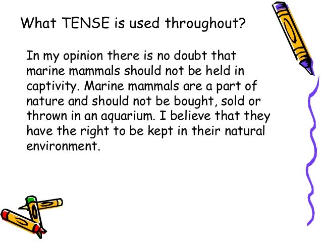 Animals Should Not Be Used For Research Essay