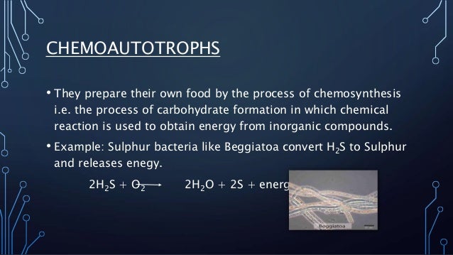 define chemosynthesis Definition of chemosynthesis in the audioenglishorg dictionary meaning of chemosynthesis what does chemosynthesis mean proper usage of the word chemosynthesis. define chemosynthesis Definition of chemosynthesis in the audioenglishorg dictionary meaning of chemosynthesis what does chemosynthesis mean proper usage of the word chemosynthesis.