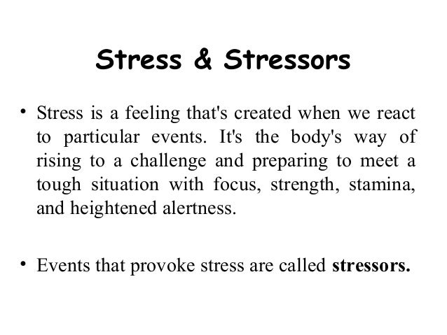 Essay On Stress