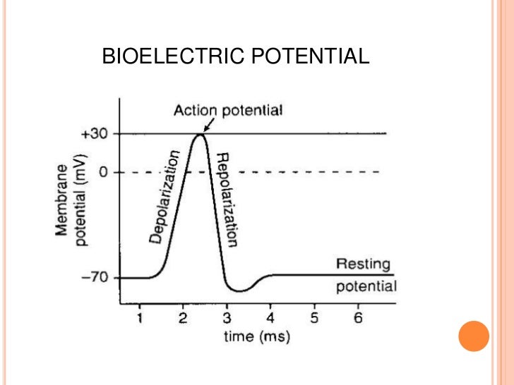 Biomedical Engineering Mod1