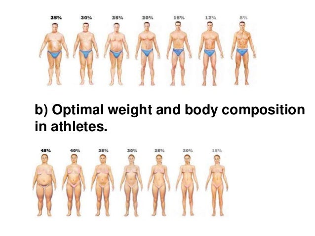 Body Fat Composition Calculator 105