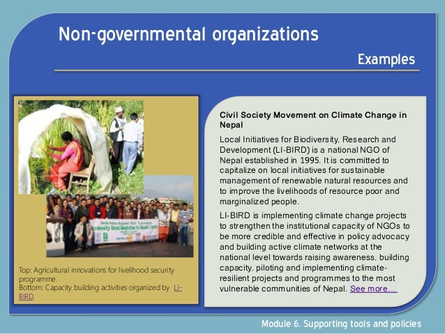 non governmental organizations examples