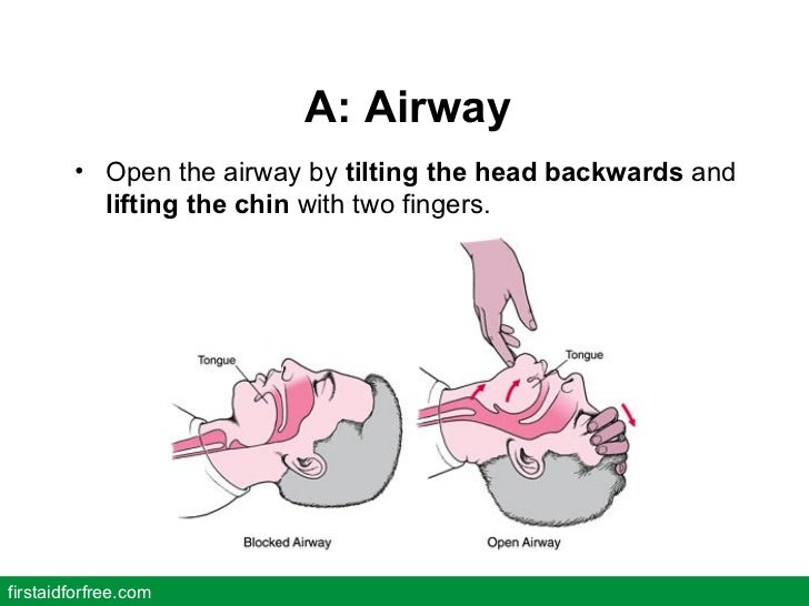 Natural Ways To Open Up Your Airways Natural Ways To Open Up Your Airways