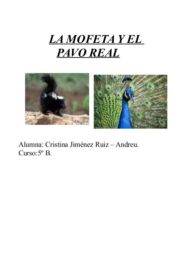 Mofeta y pavo real.(fábula)
