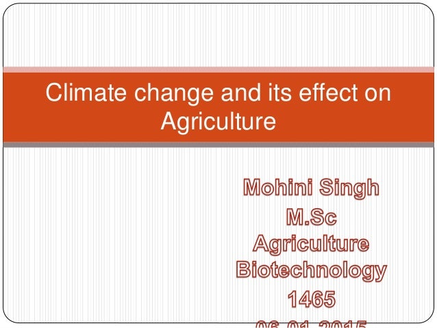 English Essays Samples Example Essay Climate Change What Is Thesis In An Essay also Model English Essays Example Essay Climate Change Factcynicml High School Years Essay