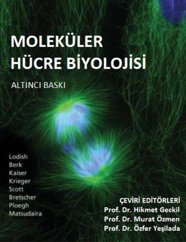 molecular cell biology harvey lodish pdf