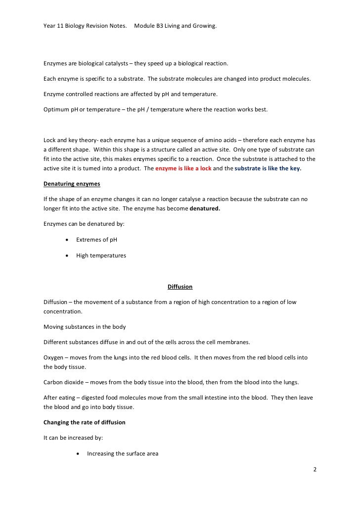 rate of reaction coursework ocr Rate of reaction introduction i will be investigating the rate of reaction, which is the amount of substance taken for the reaction often the rate curve is a negative. rate of reaction coursework ocr Rate of reaction introduction i will be investigating the rate of reaction, which is the amount of substance taken for the reaction often the rate curve is a negative.