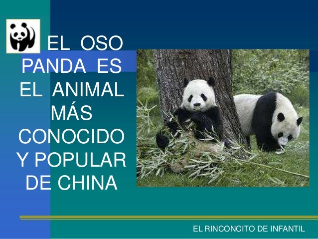 EL OSOPANDA ESEL ANIMAL   MÁSCONOCIDOY POPULAR DE CHINA            EL RINCONCITO DE INFANTIL 