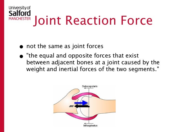 Moments and forces shoulder elbow