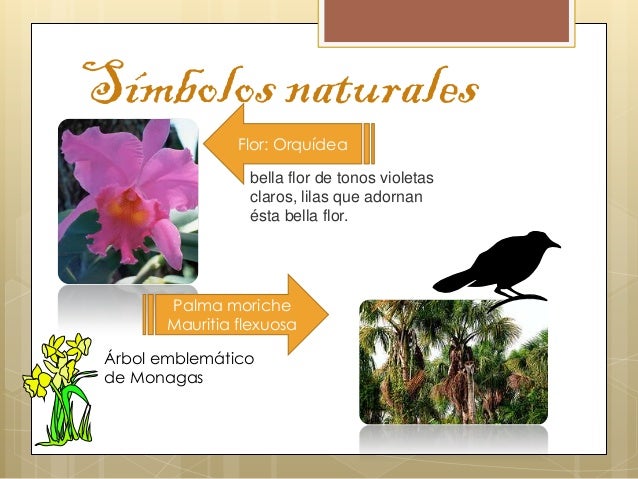 Imagenes De Los Simbolos Naturales Del Estado Guarico | monagas Imagenes De Los Simbolos Naturales Del Estado Guarico | monagas