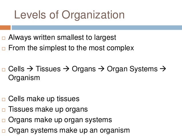 Monday october 20, 2014