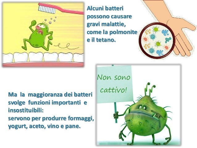 Che guarire un fungo su un piccolo uovo