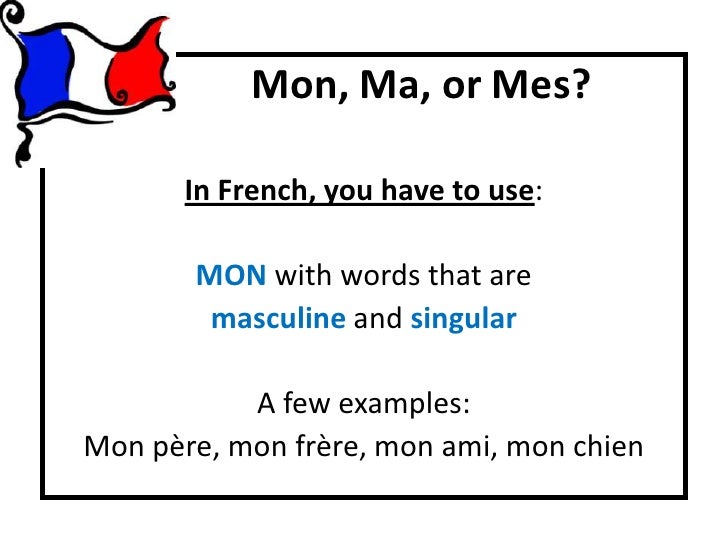 what does mes meilleurs amis mean in french