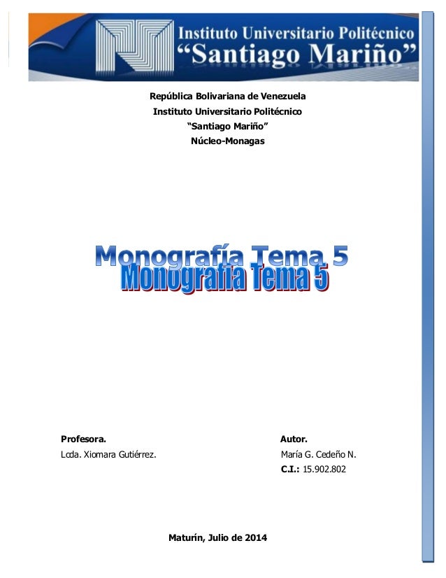 INVESTIGACION MERCADO MONOGRAFIA investigacion mercado monografia: