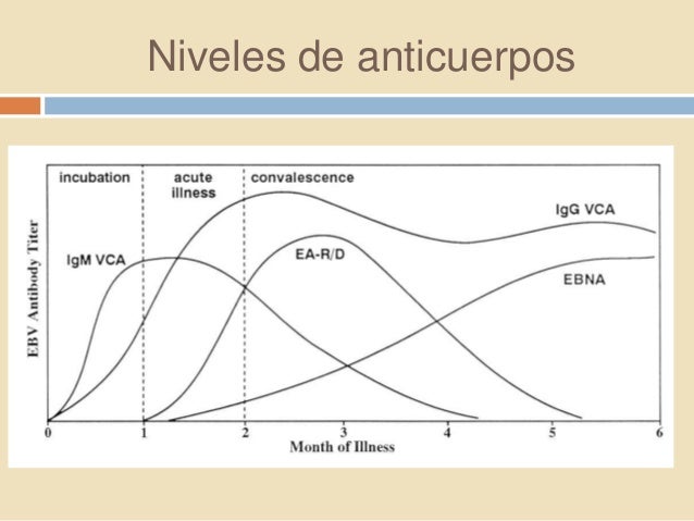 Que beber contra las lombrices para la profiláctica