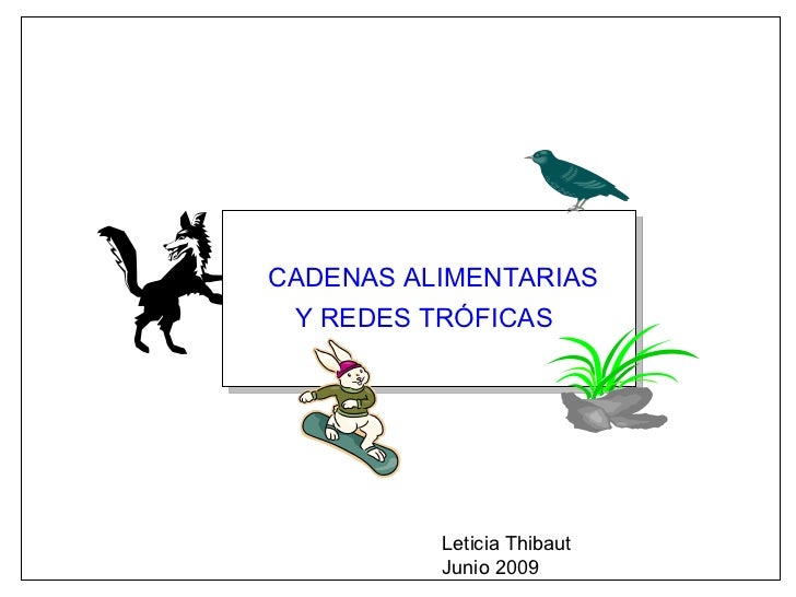 diferencia entre cadenas y redes alimentarias cadenas alimentarias y redes troficas diferencia entre cadenas y redes alimentarias cadenas alimentarias y redes troficas