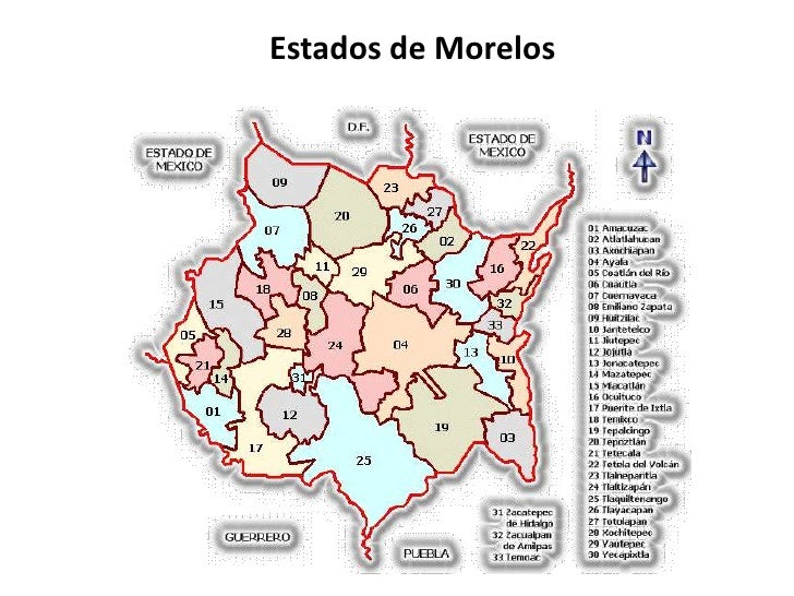 Todo Sobre Morelos Todo Sobre Morelos