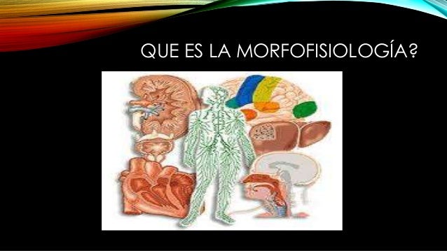 Resultado de imagen para morfofisiologìa
