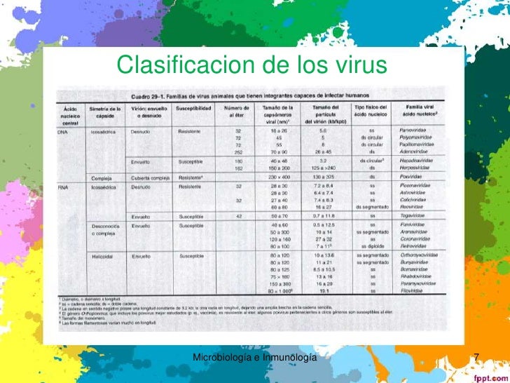 Morfologia y clasificacion viral