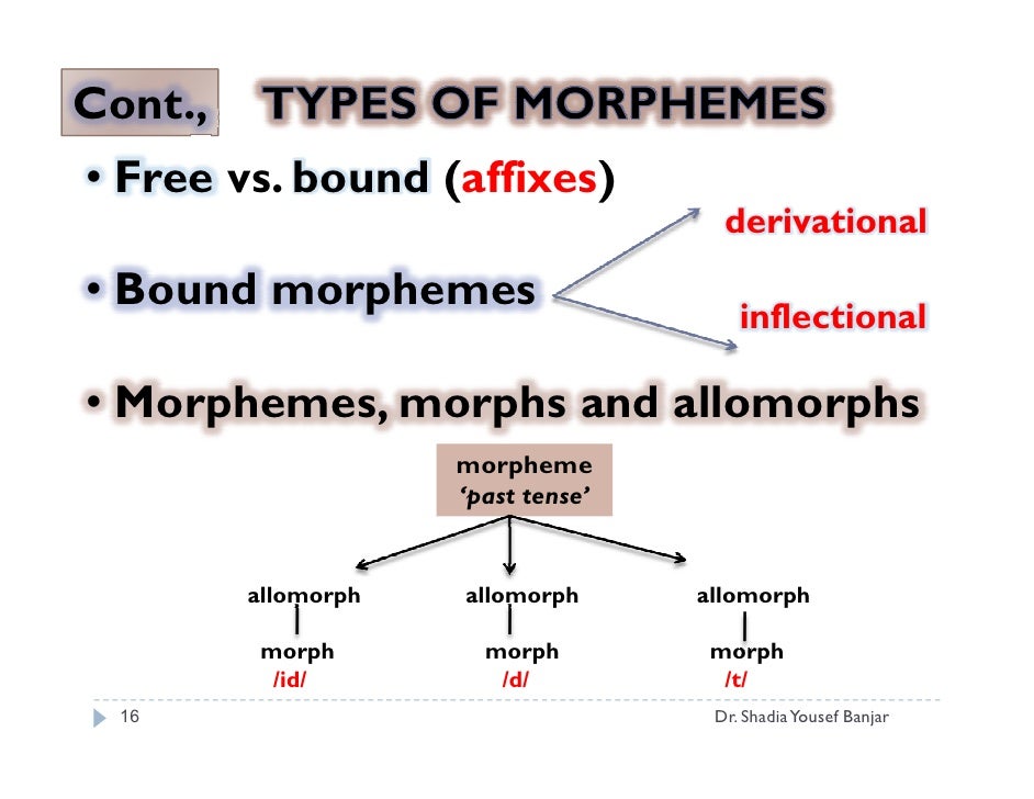different types of morphemes Morpheme, syllable, lexeme, grapheme, phoneme note that morphemes are different a syllable may have different meaning when used as different types of. different types of morphemes Morpheme, syllable, lexeme, grapheme, phoneme note that morphemes are different a syllable may have different meaning when used as different types of.