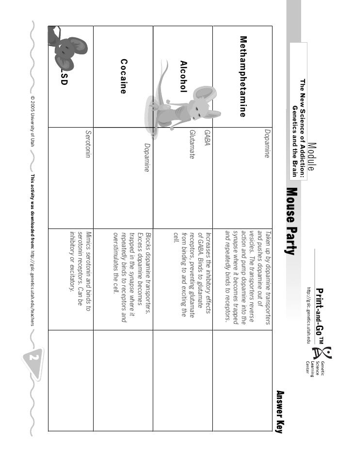 Mouse Party Worksheet Answers Pdf