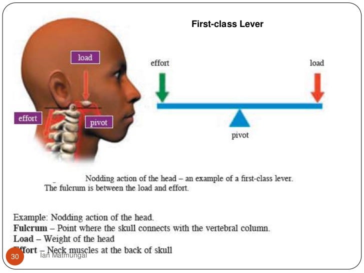 Movement and support