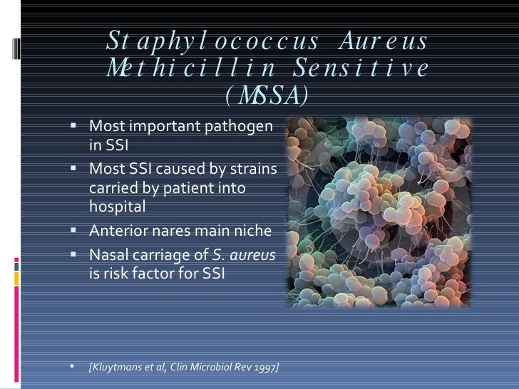 Mrsa eradication presentation sep 30 2010