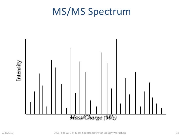 Mass Spectrometry Protein Identification Strategies