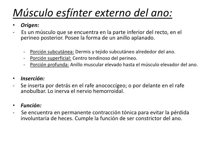 Músculos del diafragma pélvico