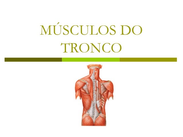 MÚSCULOS DO  TRONCO 