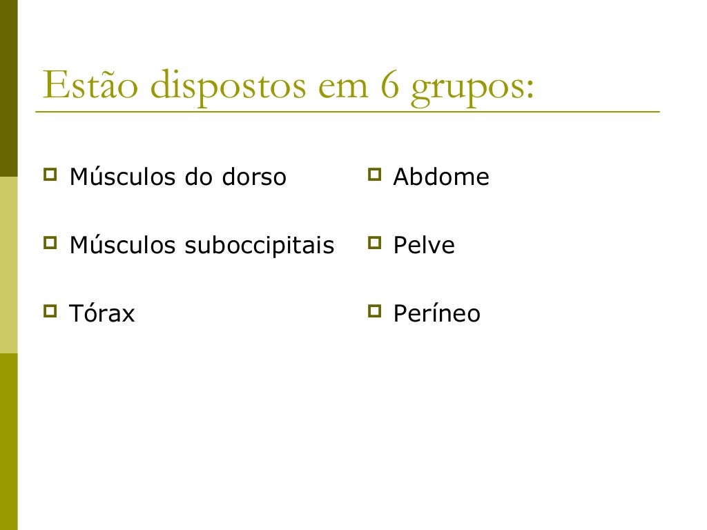 Estão dispostos em 6 grupos:   Músculos do dorso           Abdome   Músculos suboccipitais      Pelve   Tórax        ...