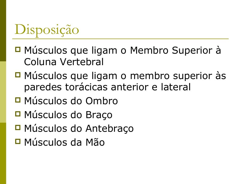 Grande Dorsal Apresenta uma configuração triangular que recobre a região lombar e a metade inferior da região torácica ...
